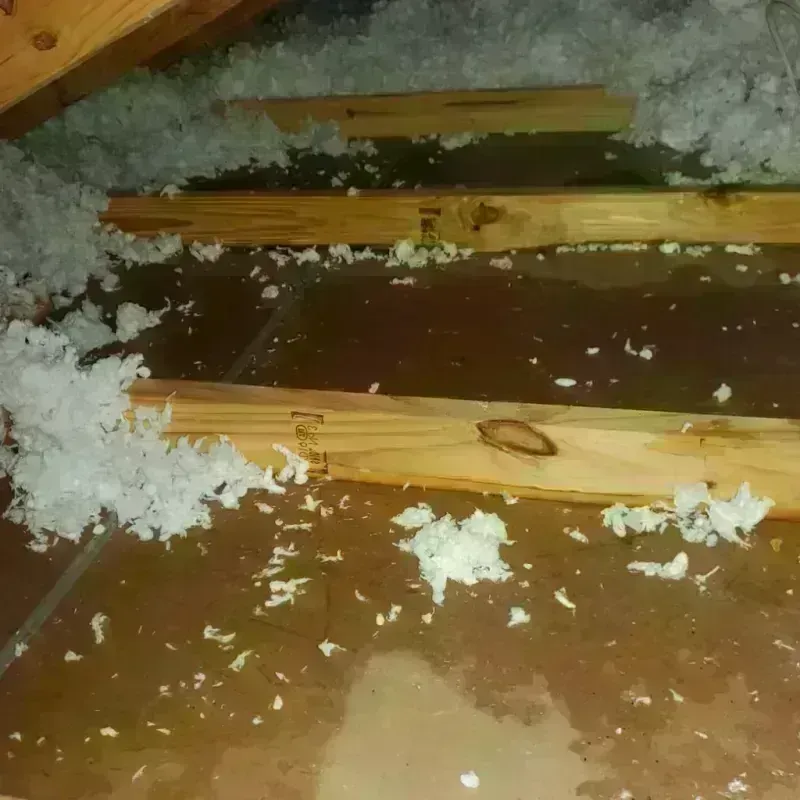 Attic Water Damage in Gainesville, MO