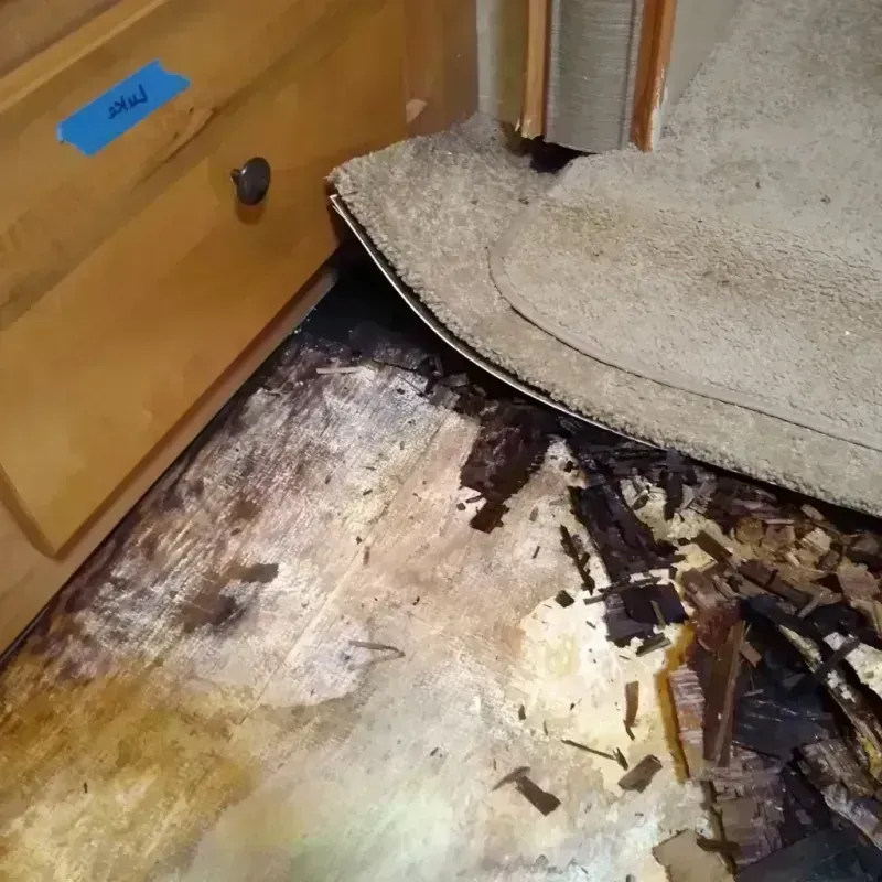 Wood Floor Water Damage in Gainesville, MO